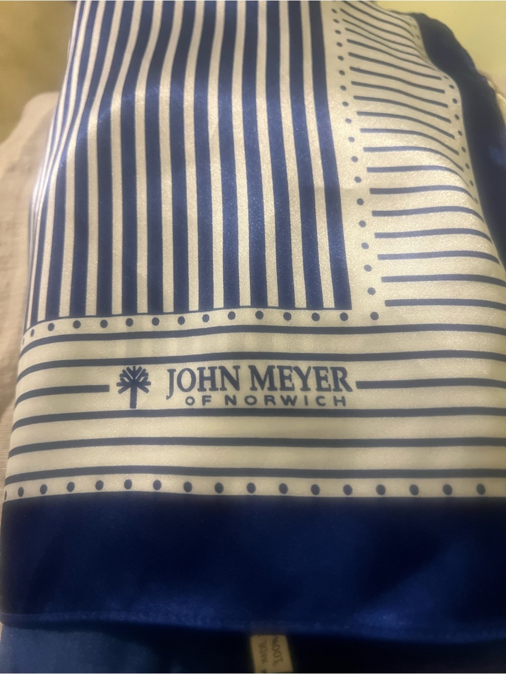 JOHN MEYER of Norwich Scarf